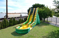 JCX WS19EAA 1743590930 1744309229 19' Jungle Slide